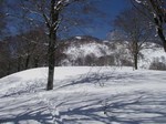 090330.6.jpg