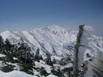 090429.7.jpg