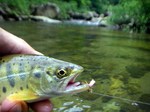090529.5.jpg