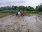 090531.1.jpg