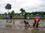 090531.2.jpg