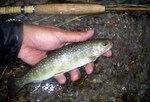 090604.10.jpg
