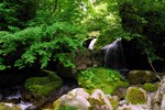 090612.8.jpg