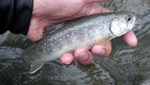 090622.5.jpg