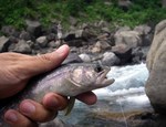 090629.7.jpg