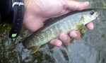 090713.4.jpg