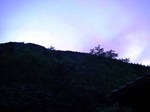090720.1.jpg