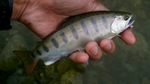 090925.107.jpg