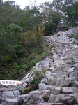 0910071.jpg