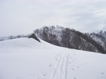1002012.jpg
