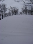 1002013.jpg
