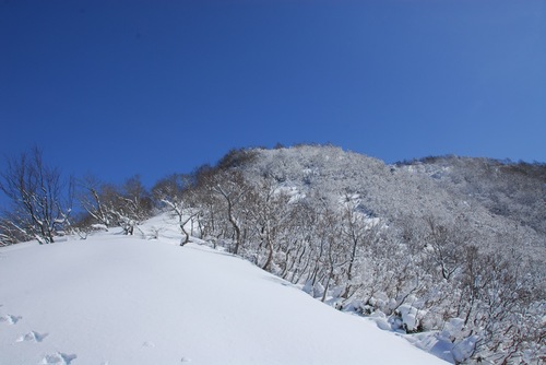 1003304.jpg
