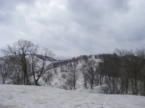 100405.6.jpg
