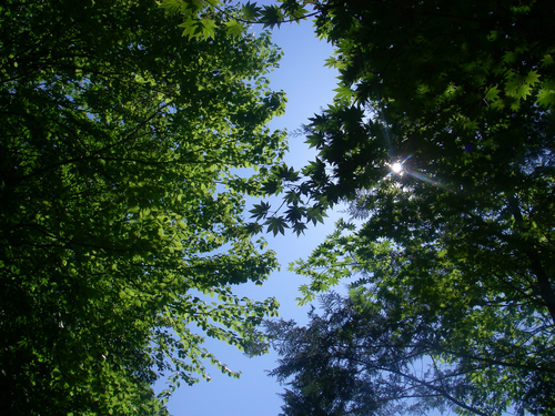 100610.01.jpg