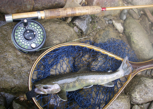 100702.5.jpg