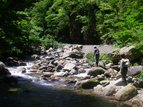 100720.5.jpg