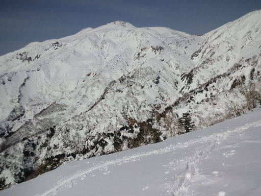 11024046_2063525163_216large.jpg