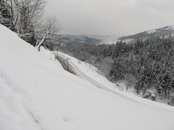 120110.1.jpg