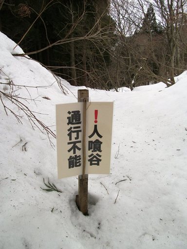 140130.1.jpg