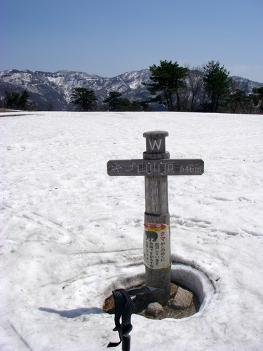 2011.4.151.jpg