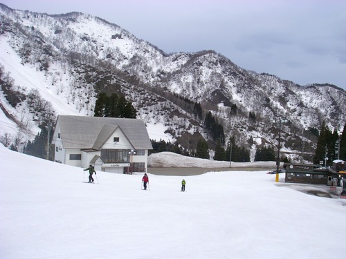 20110408.1.jpg