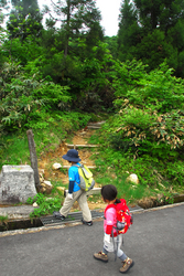 20110612.1.jpg