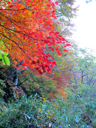 20111019.01.jpg