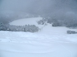 20111220.1.jpg