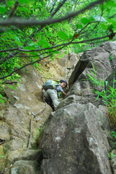 2011619.1.jpg