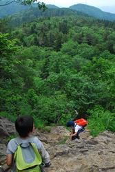 2011619.4.jpg