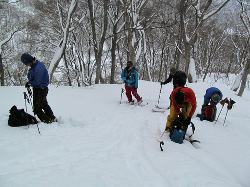 20120209.1.jpg
