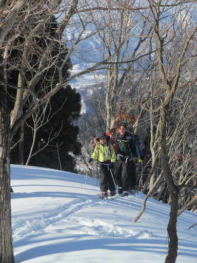 20120211.1.jpg