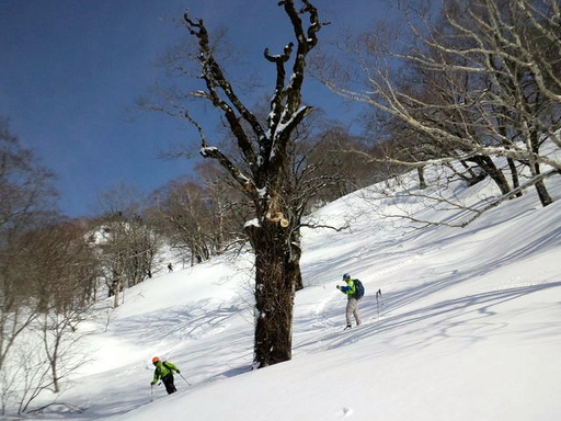 2014.4.7.13.jpg