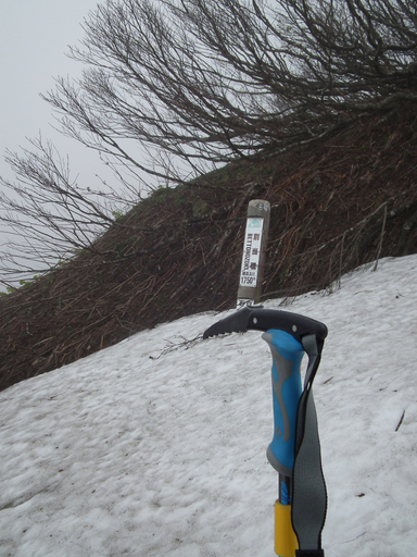 517hakusan03.jpg
