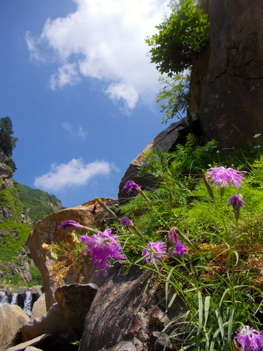 DSCN0019.JPG
