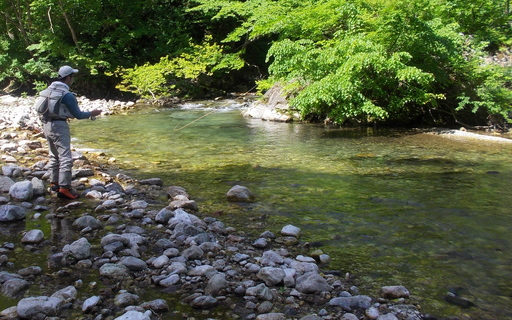 DSCN0028.JPG