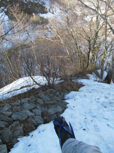 IMG_1183.jpg