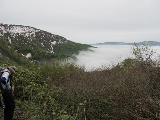 IMG_4246.JPG